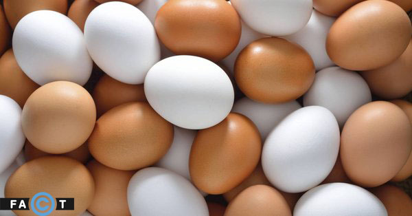 تفاوت بین تخم‌ مرغ‌های سفید و قهوه‌ای