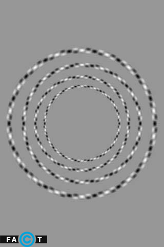 خطای دید جالب توهم دایره‌ها
