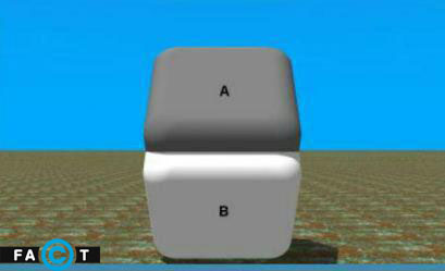 رنگ دو قسمت مکعب یکسان است خطای چشم